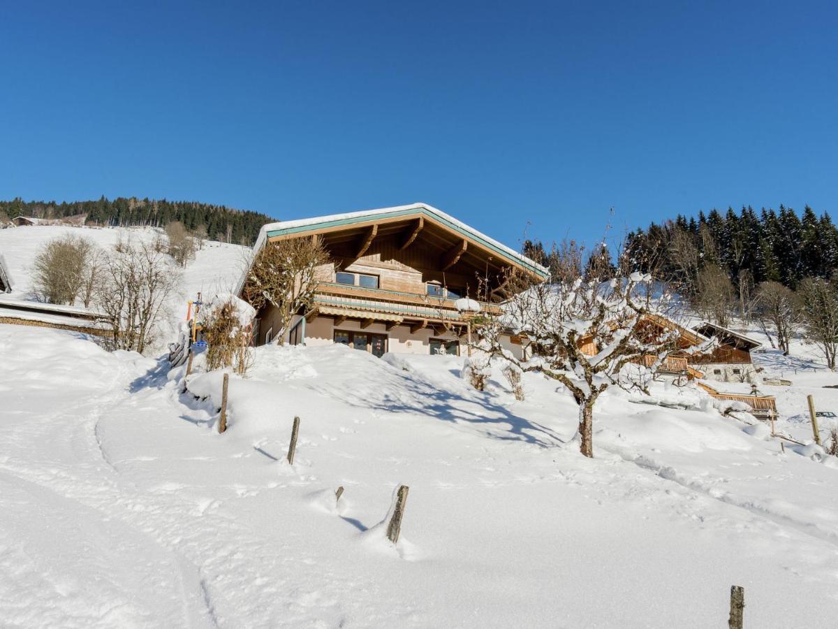 Apartment Near The Ski Area Saalbach-Hinterglemm Ngoại thất bức ảnh